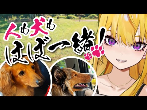 犬のトレーニングから人とのコミュニケーションや育児を考えてみるか