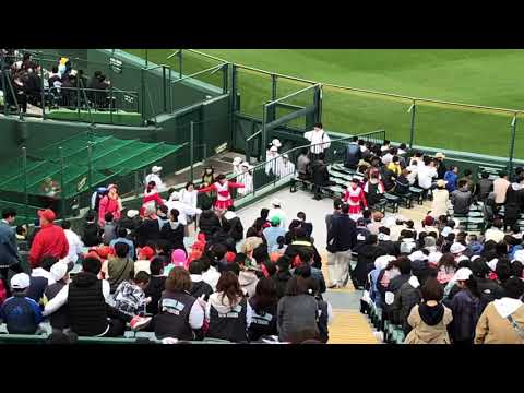 智辯和歌山 2019選抜【初回フル】でアフリカンシンフォニー 甲子園 高校野球 智弁