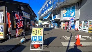 日本松島町松島魚市場1/2 Fish Market, Matsushima-machi (Japan)