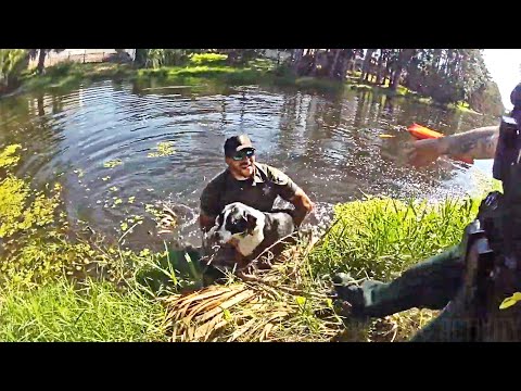 Florida Deputy Jumps into Canal to Rescue Stranded Dog