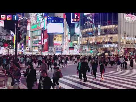 【米米瘋】日本新宿必逛景點 Shibuya City's busy crossroads Time-lapse