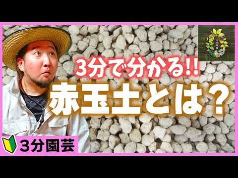 【3分園芸】いまさら聞けない!!赤玉土って一体何？