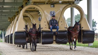 Horse Training Machine Is Like Rollercoaster