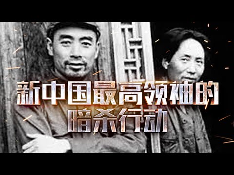 一场针对中国最高领袖的暗杀行动，一份从北京发出的密电 #读书笔记#读后感