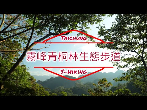 S步道｜台中｜青桐林生態步道群｜功能完善全新開放｜霧峰區