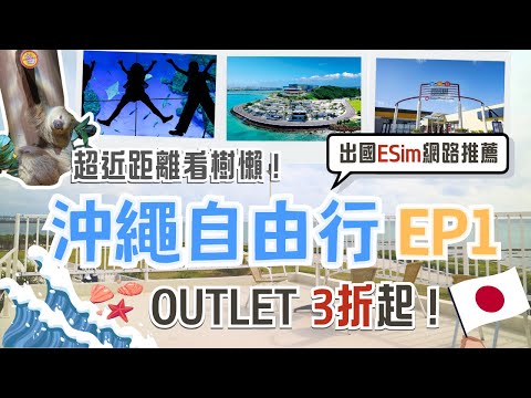 沖繩EP1🏖️一日行程✨到瀨長島海風露台 看海景、飛機 吃沖繩特色美食！DMM水族館 超近距離看樹懶｜豐崎最大百貨iias｜沖繩唯一Ashibinaa Outlet🛍️ Okinawa, Japan