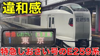 【空港特急の感じは強く残る】特急しおさい号にE259系が充当！