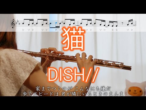 【フルート】猫 / DISH// (北村匠海)【楽譜】