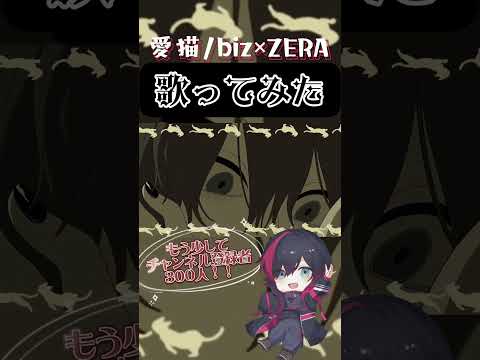 今ならガチ古参になれちゃうんですけどいかがでしょうか。『愛猫/biz×ZERA』歌わせて頂いた件 #歌ってみた #歌い手 #愛猫 #biz #ZERA