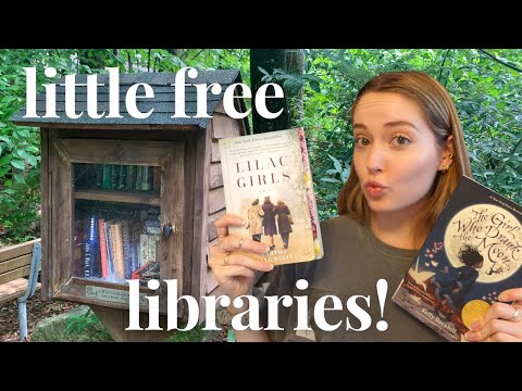 visiting tons of little free libraries & haul!