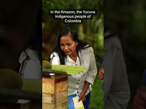 Melipona Bees - Indigenous Knowledge