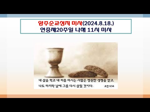 양주순교성지 미사(연중제20주일 나해 11시 미사 2024.8.18.)