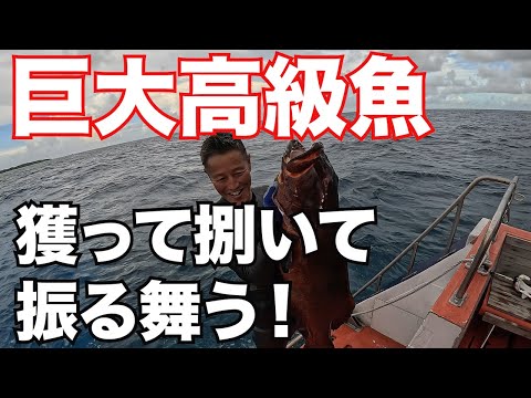 【豊年祭に感謝を込めて巨大高級魚を振る舞う】大きな魚を獲て捌いて刺身にします！