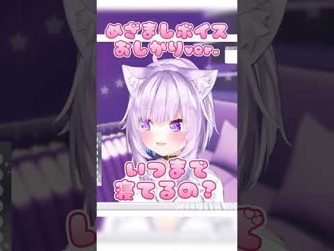 【癒される】これなら起きれる！可愛すぎるおかゆんの目覚ましボイスはこちら  #shorts #猫又おかゆ #ホロライブ切り抜き