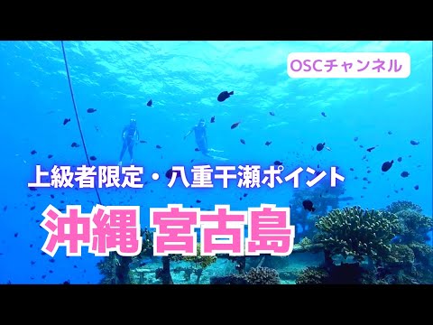 上級者限定！ボートでしか行けない八重干瀬（ヤビジ）ポイントでスキンダイビング！in 沖縄・宮古島（伊良部・下地島）