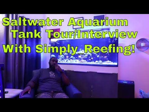 Saltwater Aquarium Tank Tour