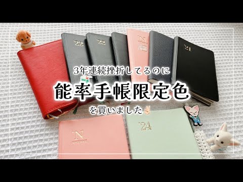 【手帳会議】能率手帳限定色と3年分の反省会【手帳の中身】