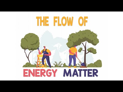 Flow of Energy Matter | Animation