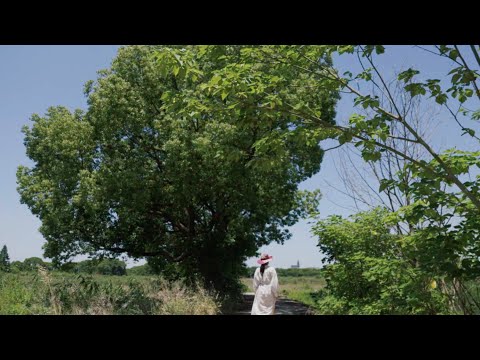 Countryside Slow Life | Camping in the Woods, Chamomile Herbal Popsicles and Drink Recipe