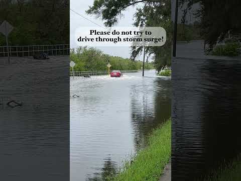 Car tries to drive through Hurricane Idalia storm surge, but fails #shorts #stormsurge #flood