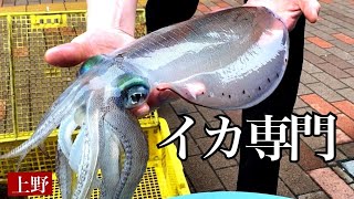 [Tokyo Ueno]Japan's best!Surprise customers with fresh squid delivered directly!?"Ueno Squid Center"