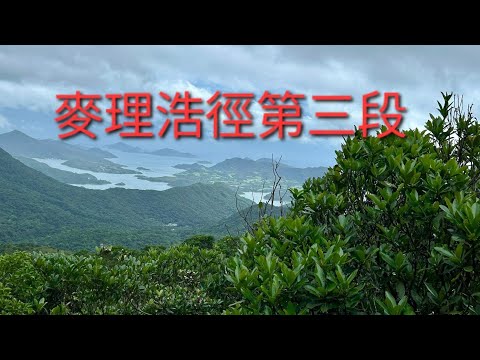 全走 麥理浩徑第三段 途經牛耳石山 雷打石 雞公山 水浪窩