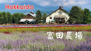 北海道夏季必遊!富田農場.薰衣草.浪漫的紫色花海【2023 Jul.北海道之旅】Japan Farm-Tomita #ファーム富田 #ラベンダー #4K