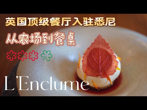 Vlog 探店｜L’Enclume｜悉尼Pop up｜从农场到餐桌｜3-star Michelin restaurant from England