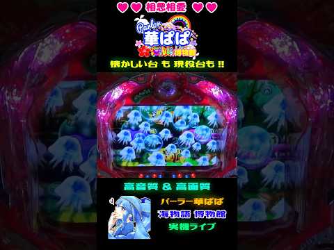 🎯リーーーーチ🎯✨ボイスプレミアム✨🫧🪼🐠ステップアップ魚群🫧🪼🐠🐬復刻版 初代アグネス🐬【 パーラー華ぱぱ・海物語 博物館 】ショート動画 #shorts