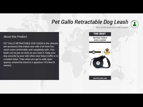 Pet Gallo Retractable Dog Leash