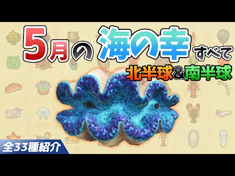 【あつ森】5月に捕れる海の幸を全てを紹介！出現時間や影のサイズ、捕まえ方、値段など徹底解説！センジュナマコやオオシャコガイ、タラバガニなどレアな生き物が大量【あつまれどうぶつの森　5月海の幸図鑑】