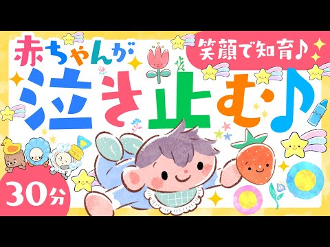 【赤ちゃんが喜ぶ音楽】ソポアートパーク公式│うた♪音楽メドレー♫ 喜ぶ 笑う🌲ö│童謡│0歳から3歳│楽しい知育アニメ【赤ちゃんが泣き止む・喜ぶ動画】