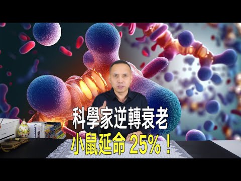 《自然》：科學家逆轉衰老，讓小鼠延命25%，人類臨床卻沒錢！