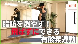 【有酸素運動】静かに自宅でできる有酸素運動！飛ばない「脂肪がすぐに燃える」ダイエット