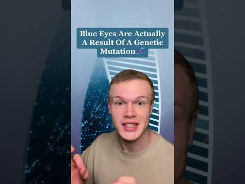 Insane Facts About Blue Eyes 🔵 #facts #fact #world #earth #blue #eyes #human #bodies #insane #crazy