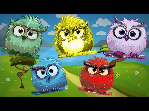 Learn Colors Finger Family - Learn Colors with Colorful Owls - The Finger Family Nursery Rhyme Song