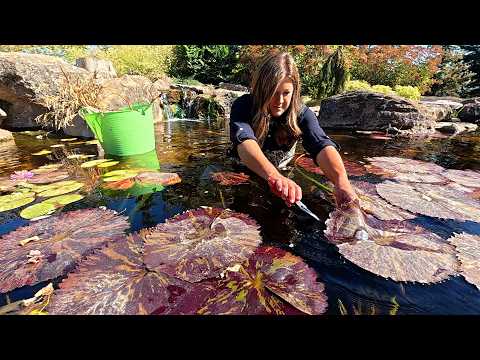 Pond & Hartley Cleanup to Get Ready for the Dream Stream + 3 Tree Installations! 💦🌲💪