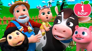 🚜🐑🐖🐓Old MacDonald Had a Farm | Newborn Baby Songs & Nursery Rhymes