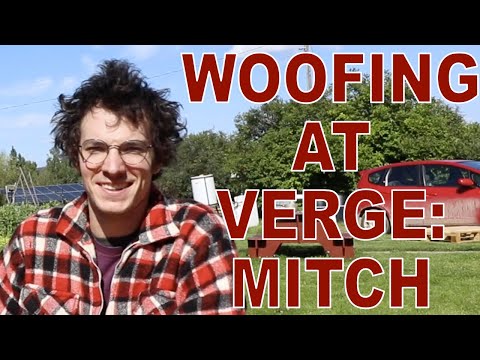 WWOOFING At Verge - Mitch discusses his WWOOFING Experience