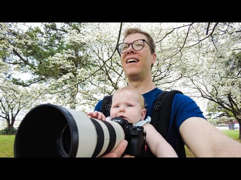 Dogwoods and a Baby - Every Landscape Photographer's Dream