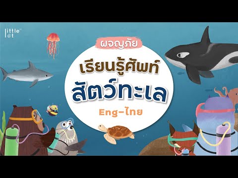 การ์ตูนทายศัพท์ สัตว์ทะเล | Sea Animals | อังกฤษ - ไทย | เพลงเด็ก | Under the sea by LittleLot