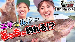 【検証】ハタ釣りでエサVSルアー!?＜釣り好き警察24時＞第16話（2/4）『新たな捜査員と一緒に次世代アングラーズアイドルを逮捕せよ！』【ドランクドラゴン鈴木拓・吉野七宝実・一木花漣・池山智瑛】