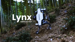 Extreme Off-Road | DEEPRobotics Lynx All-Terrian Robot