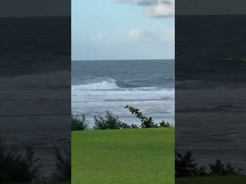 Surfer lands backflip #surfing #hawaii #backflip #surfers #waves