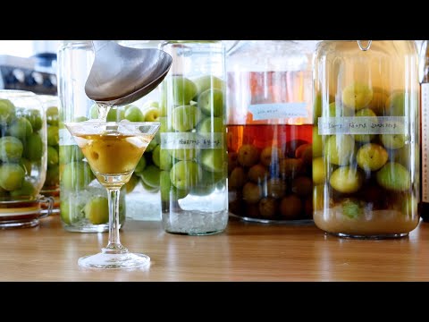 The easiest way to make plum wine | Shochu Sake plum wine | Zhenro plum wine