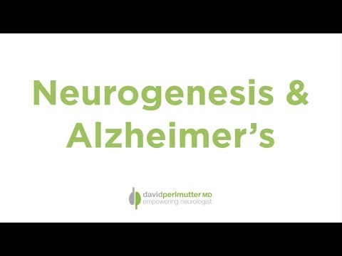 Neurogenesis & Alzheimer's: A Correlation?