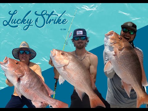 Best Techniques to Catch Big Red Snapper in the Gulf of Mexico. Red Snapper 2023