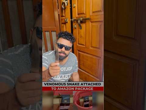 BEWARE ! IS THERE A SNAKE IN YOUR AMAZON DELIVERY #snake #snakebites #venom #amazon #amazonfinds