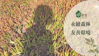 德屋心願｜永續森林、友善環境