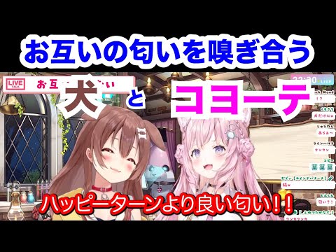 【#ホロいぬいぬ】互いの匂いを嗅ぎ合う犬とコヨーテ【戌神ころね/博衣こより/ホロライブ切り抜き】